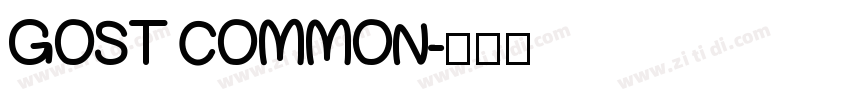 GOST COMMON字体转换